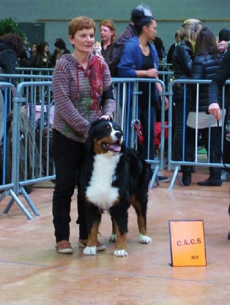 Grimace du Haras de la Vergne
